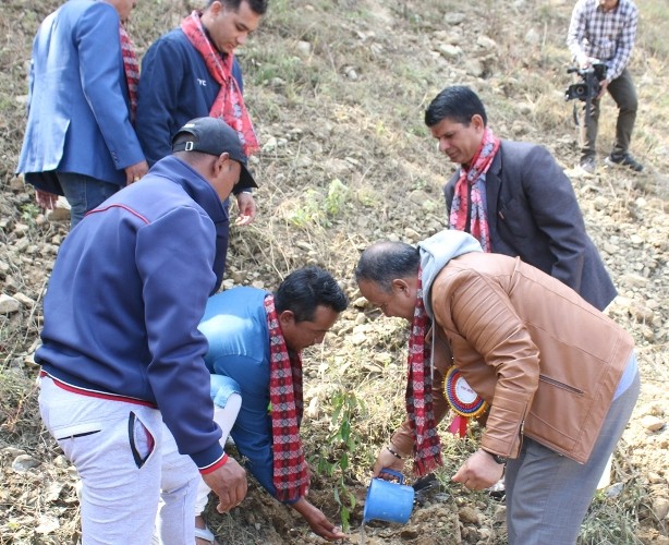 प्रथम मेयर कपमा वडा ५ को विजयी सुरुवात